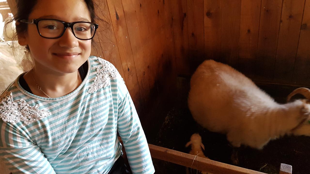 Klara'S Farm Holidays Hella Kültér fotó